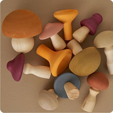 Load image into Gallery viewer, Raduga Grez Mushrooms