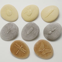 Load image into Gallery viewer, Yellow Door Let's Investigate - Bug