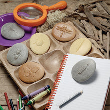 Load image into Gallery viewer, Yellow Door Let's Investigate - Bug