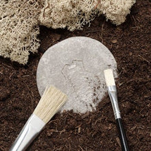 Load image into Gallery viewer, Yellow Door Let's Investigate - Bug