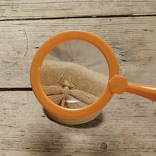 Load image into Gallery viewer, Yellow Door Let's Investigate - Bug