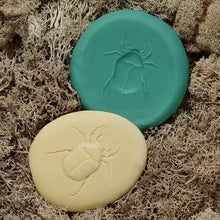 Load image into Gallery viewer, Yellow Door Let's Investigate - Bug