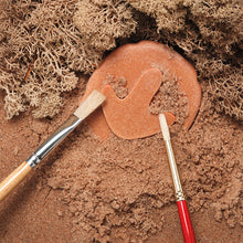 Load image into Gallery viewer, Yellow Door Let's Investigate - Dinosaur Footprints