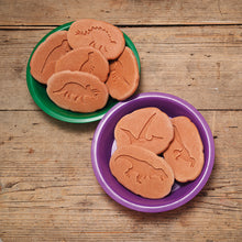 Load image into Gallery viewer, Yellow Door Let's Investigate - Dinosaur Footprints