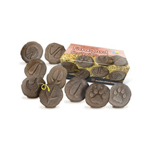 Load image into Gallery viewer, Yellow Door Let's Investigate - Farmyard Footprints