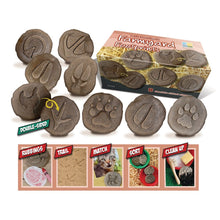 Load image into Gallery viewer, Yellow Door Let's Investigate - Farmyard Footprints