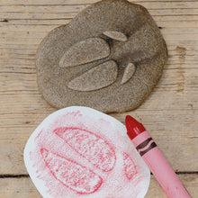 Load image into Gallery viewer, Yellow Door Let's Investigate - Farmyard Footprints