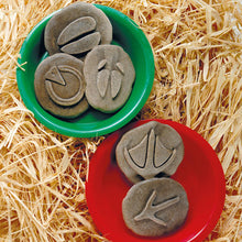 Load image into Gallery viewer, Yellow Door Let's Investigate - Farmyard Footprints