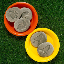 Load image into Gallery viewer, Yellow Door Let's Investigate - Woodland Footprints