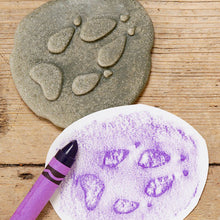 Load image into Gallery viewer, Yellow Door Let's Investigate - Woodland Footprints