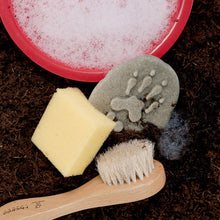 Load image into Gallery viewer, Yellow Door Let's Investigate - Woodland Footprints