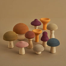 Load image into Gallery viewer, Raduga Grez Mushrooms
